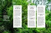 Kleine Bäume für den Garten Produktbild-Vorschau 7