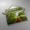 Bild auf Leinwand - Leinwandbild - Pfad Natur Wald Grün - Produktbild-Vorschau 2