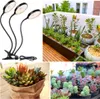 A collage of images showing a plant grow light, a planter with various plants, and a collection of succulents. Produktbild-Vorschau