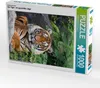 CALVENDO Puzzle Ein Motiv aus dem Kalender Der Tiger - ein Produktbild-Vorschau 1