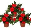 Edel-Lieschen - Impatiens Neu-Guinea - 12cm Topf - Set mit Produktbild-Vorschau 1