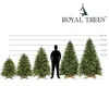 Royal Trees® Weihnachtsbaum künstlich 220 cm – Produktbild-Vorschau 7
