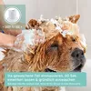 AniForte Fellharmonie Conditioner für Hunde 200ml - Produktbild-Vorschau 4