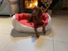 ThermoSwitch Hundebett Andros koralle/creme L Produktbild-Vorschau 2
