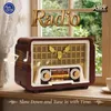 Pantasy 85048 Radio Produktbild-Vorschau 7