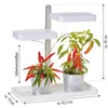 LED Pflanzenlampe Pflanzenleuchte Gewächslampe 30W Grow Produktbild-Vorschau 3
