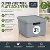 Plastard Aufbewahrungsbox mit Deckel 2er-Set 31 Liter in Produktbild-Vorschau 2