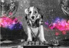 Vlies Fototapete Tiere 450x315 cm Tapeten Wandtapete XXL DJ Produktbild-Vorschau 1