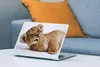 MuchoWow® Laptop Aufkleber Sticker Cover Löwe - Weiß - Produktbild-Vorschau 4