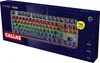 The image shows the retail packaging of a gaming keyboard, with the keyboard itself partially visible through a cutout. Produktbild-Vorschau