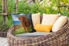 MuchoWow® Outdoor Kissen - Schottisches Hochlandrind - Produktbild-Vorschau 3