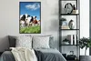 MuchoWow® Gerahmtes Poster Kühe - Landleben - Weide - Natur Produktbild-Vorschau 4