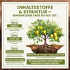 Green Home Zitruserde 72 L – für Zitruspflanzen & Produktbild-Vorschau 5