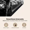KitchenYeah© Herdabdeckplatte Schottischer Highlander - Kuh Produktbild-Vorschau 3
