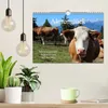 Almenglück (Wandkalender 2027 DIN A4 quer), CALVENDO Produktbild-Vorschau 3