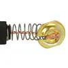 vhbw 2x Kohlebürste 19 x 11 x 5 mm kompatibel mit Dolmar Produktbild-Vorschau 6