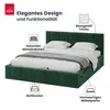 FDM Bett FLORIDA Trinity 120x200 cm Polsterbett mit Produktbild-Vorschau 3