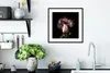 MuchoWow® MuchoWow® Gerahmtes Poster Rosen - Blumen - Rosa Produktbild-Vorschau 4