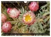 Kilimanjaro - das Dach Afrikas (Wandkalender 2027 DIN A4 Produktbild-Vorschau 11