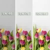 Three vertical panels showing tulips under different CRI (Color Rendering Index) lighting conditions. Náhled obrázku produktu