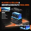 12V 100Ah LiFePO4 Batterie LiTime mit BMS IP65 1280Wh Produktbild-Vorschau 5