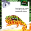 Neo Spot 40W – UV-Reflektorstrahler mit Wärme & Licht für Produktbild-Vorschau 5