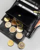 Große Herren-Ledergeldbörse mit RFID-Schutz - Rovicky Produktbild-Vorschau 11