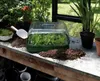elho green basics grow tray M, Blumenkübeluntersetzer, Produktbild-Vorschau 3
