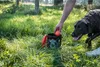 Dog Comets Meteor Shower (Seau avec 6 balles de jeu M Voir les images du produit 12