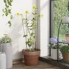 vidaXL Pflanzenstützen 20 Stk. Dunkelgrün 91 cm Stahl Produktbild-Vorschau 2