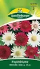 Papierblume, Mischung Produktbild-Vorschau 1