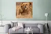 MuchoWow® Poster Löwe - Wilde Tiere - Jungtier 75x75 cm - Produktbild-Vorschau 5