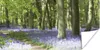 MuchoWow® Poster Wald - Weg - Blumen - Lila - Grün - Natur Produktbild-Vorschau 1