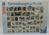 Tierbriefmarken Ravensburger 17079 Produktbild-Vorschau 6