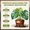 A diagram illustrating the perfect soil mix for healthy plant growth, featuring a Monstera plant in a pot. Produktbild-Vorschau