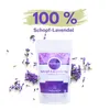 Schopflavendel Tee geschnitten 50 g - Anadoa Naturhaus Produktbild-Vorschau