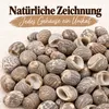Nahaufnahme der glatten Oberfläche mit feiner Bänderung Produktbild-Vorschau