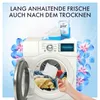Lenor Trocknertücher Aprilfrisch, Cedrové dřevo, Pačuli Náhled obrázku produktu 3