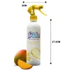 Frida Lufterfrischer Raumspray 460 ml - Mango Papaya Fruchtduft  Productafbeelding-voorbeeld