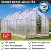 BRAST Gewächshaus Aluminium mit Fundament | 490x250x205cm | Produktbild-Vorschau 8