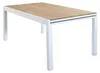 Ausziehbarer Gartentisch aus Aluminium Cayman 200/300x95 Produktbild-Vorschau 6