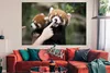 MuchoWow® Poster Panda - Hand - Rot 180x120 cm - Fotoplakat Produktbild-Vorschau 2