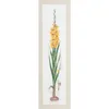 Thea Gouverneur kruisstik set "Gele Gladiool", Aida 18 ct, Productafbeelding-voorbeeld 1