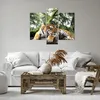 Bild auf Leinwand - Leinwandbild - 3 Teile - Tiger Produktbild-Vorschau 6