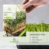 Kressesamen - Küchenkräuter Saatgut aus biologischem Anbau Produktbild-Vorschau 2