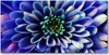 Tulup® Glas-Bild - 100x50 -Wandkunst - Wandbild hinter Produktbild-Vorschau 1