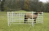 Panel - Zaunelement 3,0 m - mit Schnell-Kettenverschluss - Produktbild-Vorschau 4
