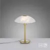 PAUL NEUHAUS Lampa stołowa LED 4026-60 matowy mosiądz, G9, Podgląd zdjęcia produktu 6