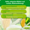 Purgrün -Mais-Dünger 1 kg Produktbild-Vorschau 3