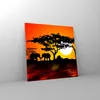 Bilder auf glas - Tiere Safari Savanne Giraffe - 30x30cm - Produktbild-Vorschau 4